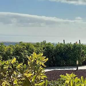  Landhuis The Black Horse Canarias - Adults Only